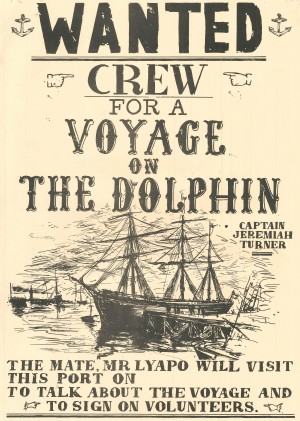 Voyage on the Dolphin, The. Poster