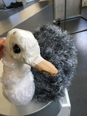 The Goose Who in R&D