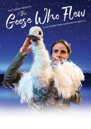 The Goose Who Flew flyer